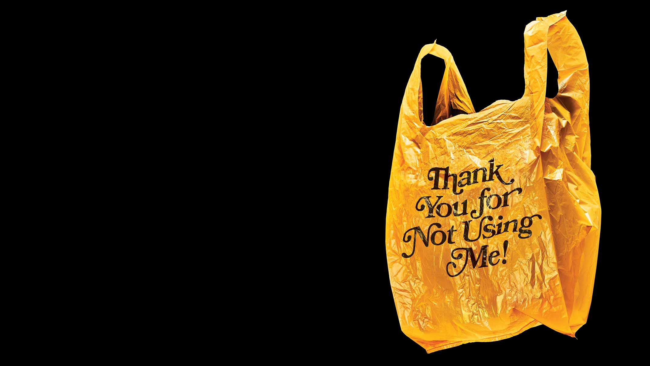 5 Things You Need to Know About How Florida Banned Plastic Bags