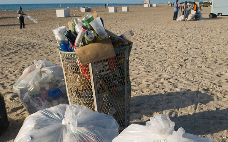 5 Things You Need to Know About How Florida Banned Plastic Bags ...