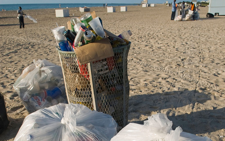 5 Things You Need To Know About How Florida Banned Plastic Bags 