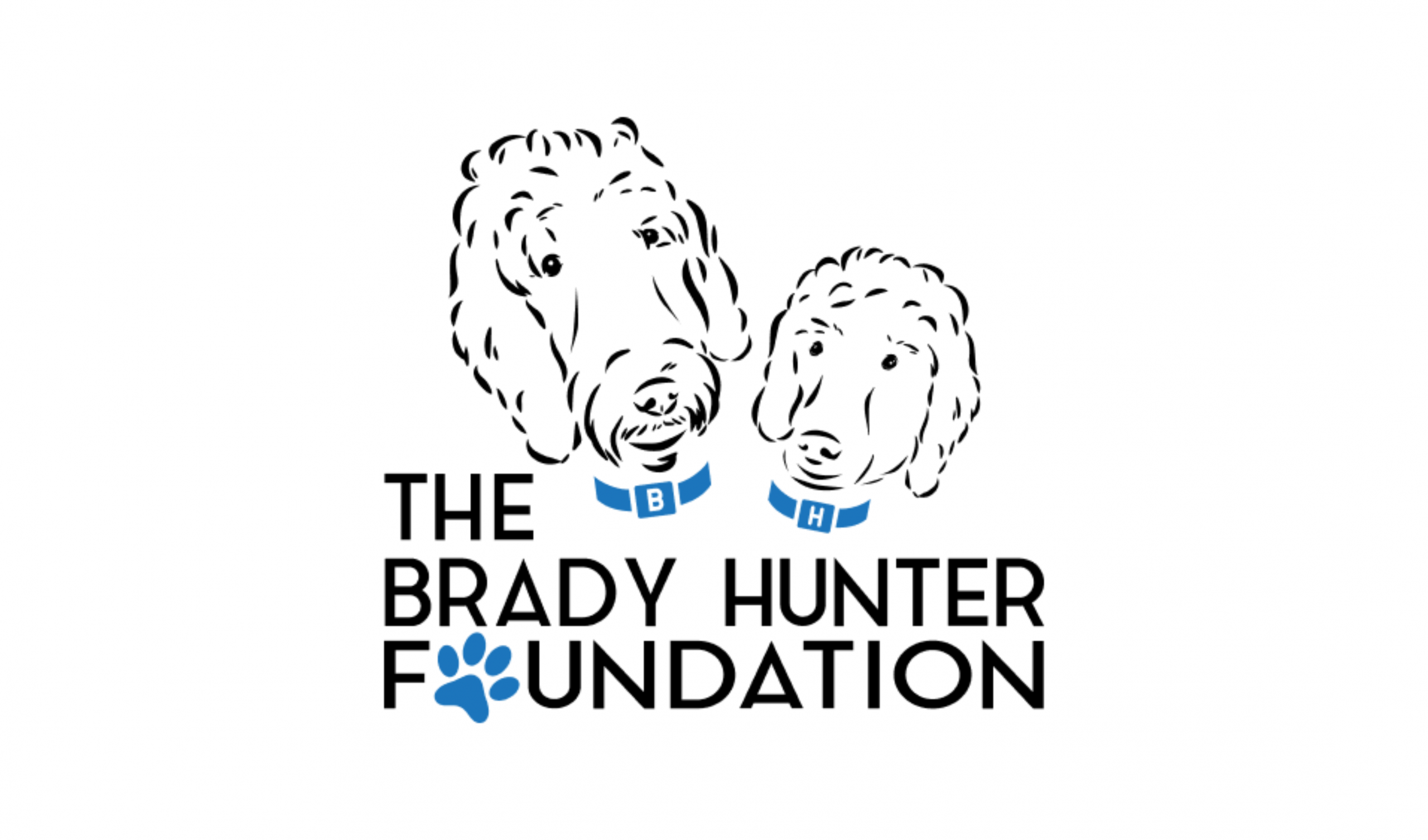 The Brady Hunter Foundation