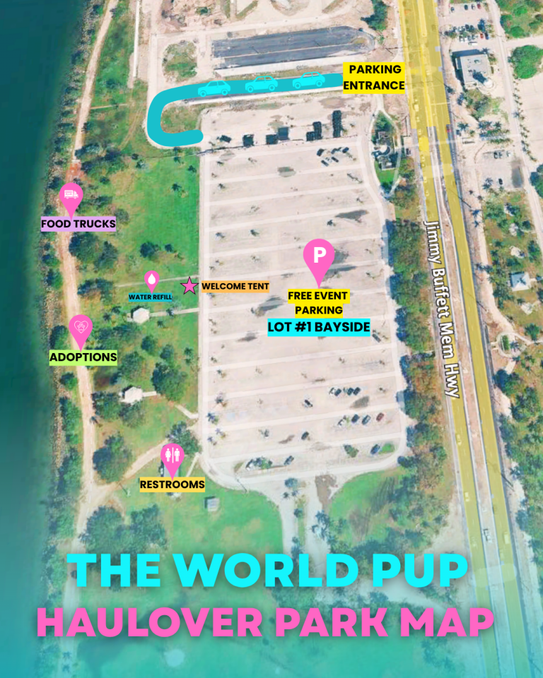 World Pup Map